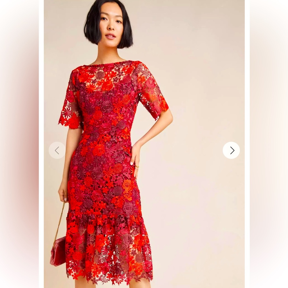 Eva Franco Anthropologie NWT Brigitte Embroidered & Lined Midi Dress Size 6